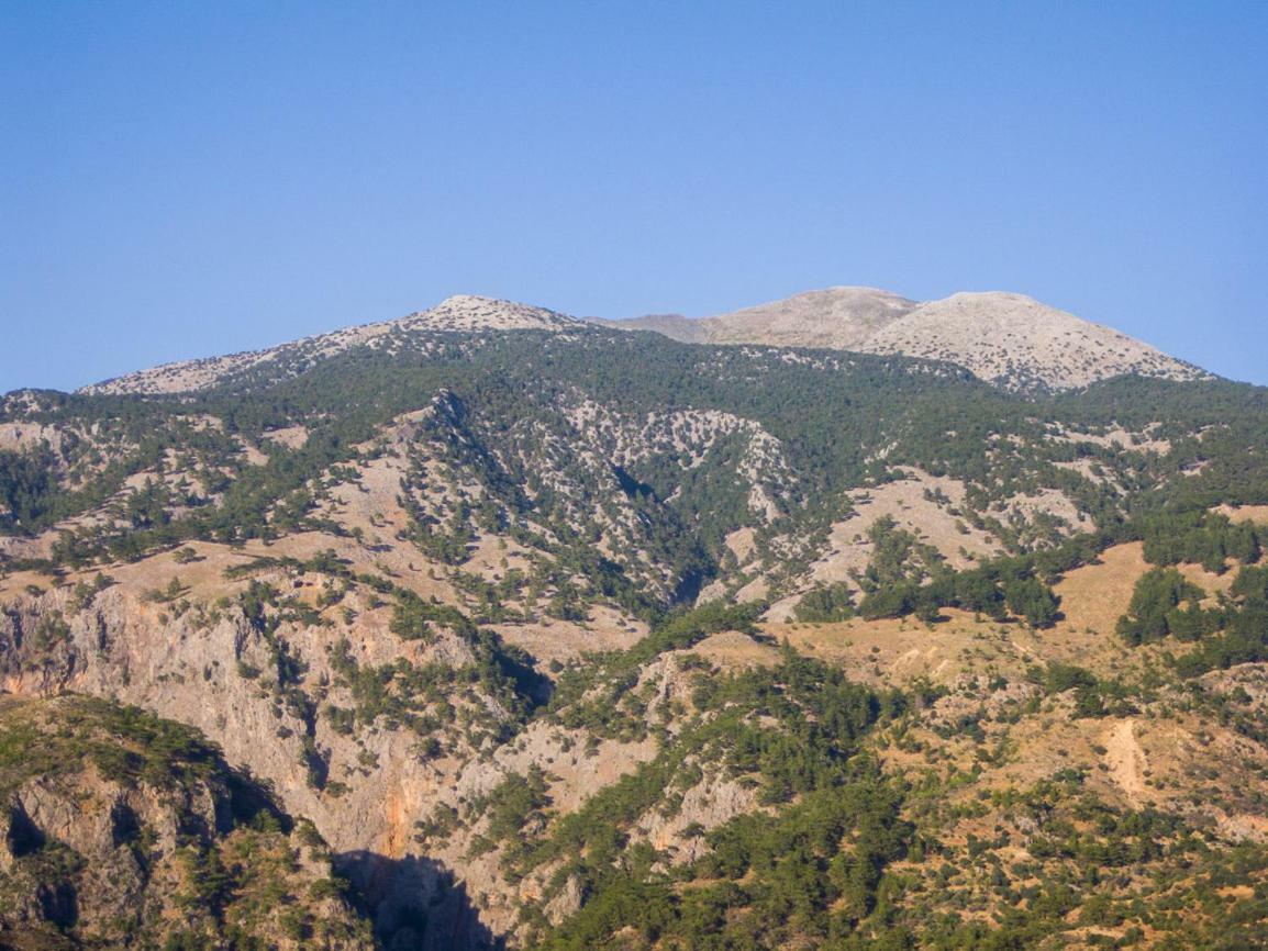 דירות סוג'יה To Spiti Mas מראה חיצוני תמונה