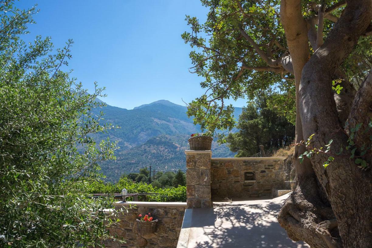 דירות סוג'יה To Spiti Mas מראה חיצוני תמונה